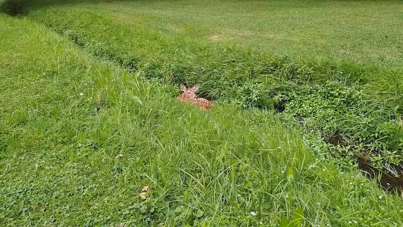 Radlick Park - Parma Heights, OH