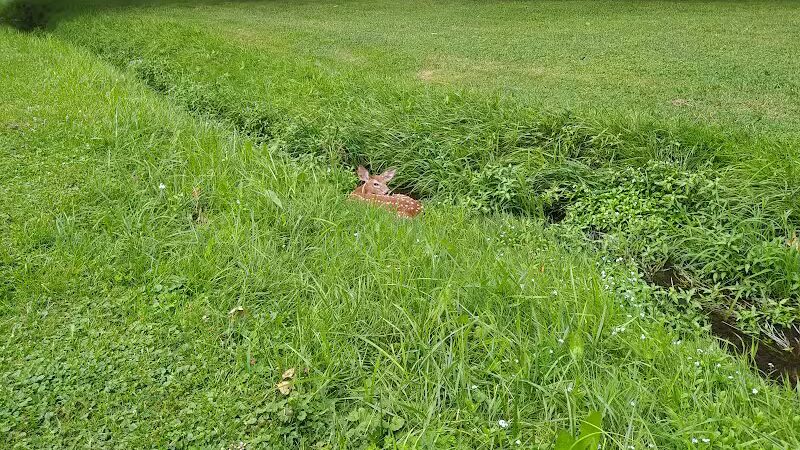 Radlick Park - Parma Heights, OH