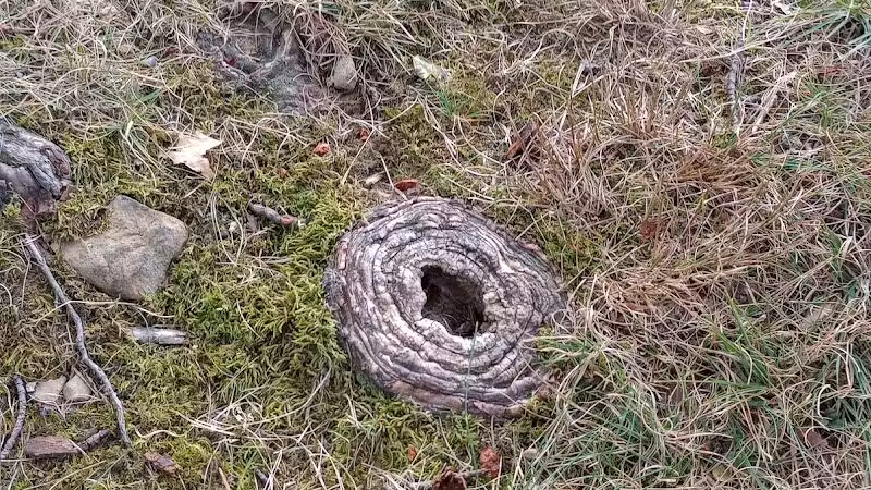 Radlick Park - Parma Heights, OH