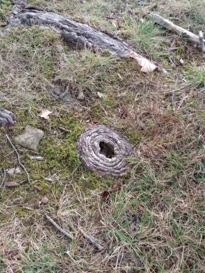 Radlick Park - Parma Heights, OH