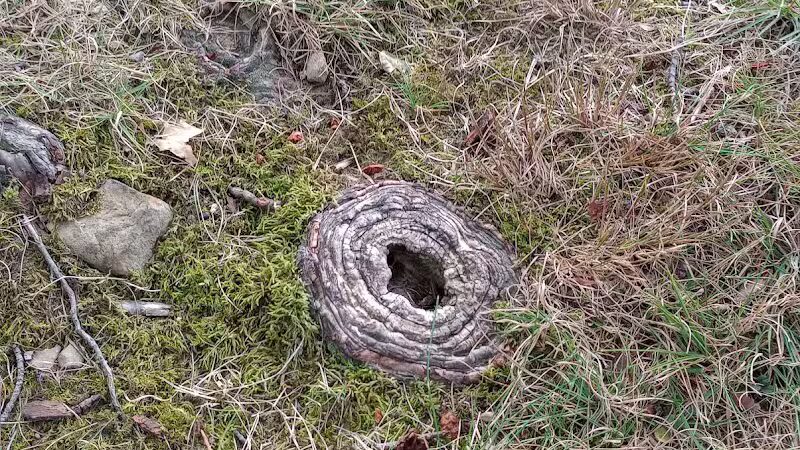 Radlick Park - Parma Heights, OH