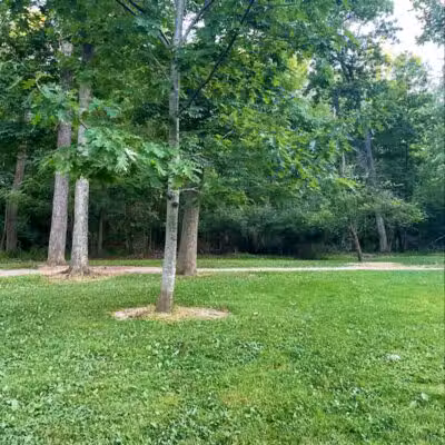Snow Road Picnic Area - Parma Heights, OH