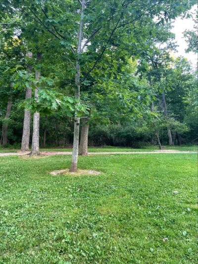 Snow Road Picnic Area - Parma Heights, OH