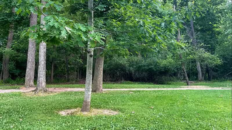 Snow Road Picnic Area - Parma Heights, OH