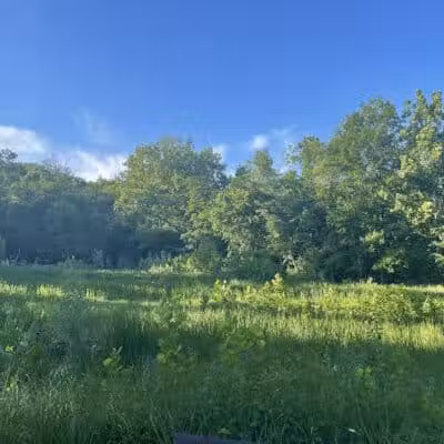 Snow Road Picnic Area - Parma Heights, OH