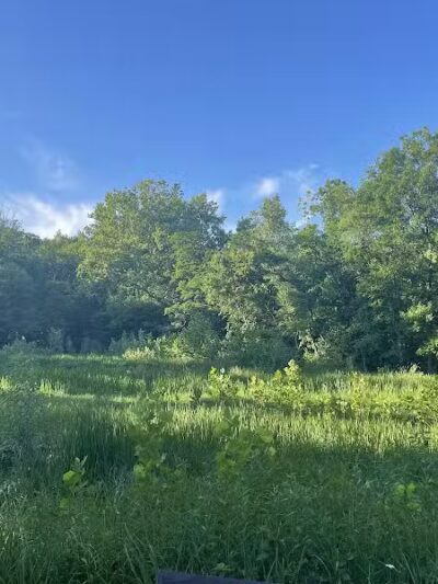 Snow Road Picnic Area - Parma Heights, OH