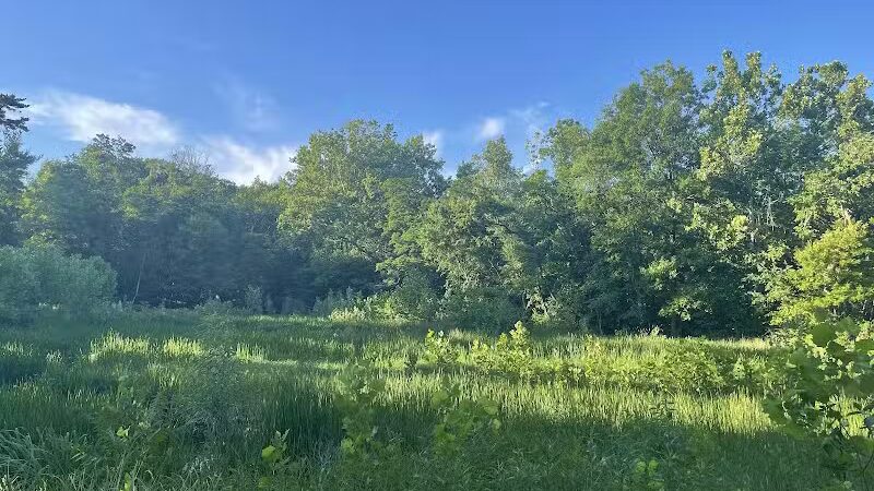 Snow Road Picnic Area - Parma Heights, OH