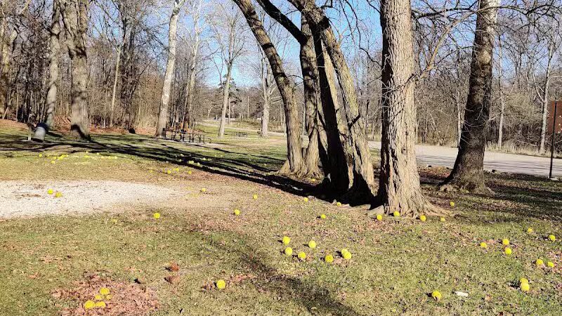 Snow Road Picnic Area - Parma Heights, OH