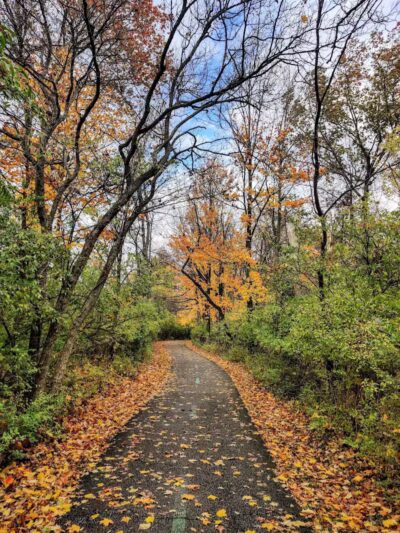 Snow Road Picnic Area - Parma Heights, OH