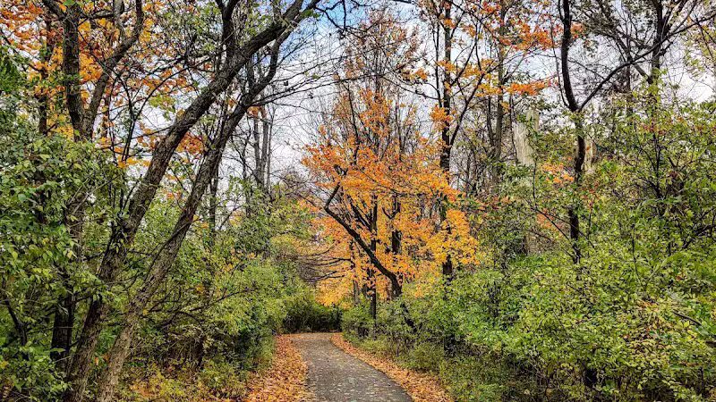 Snow Road Picnic Area - Parma Heights, OH