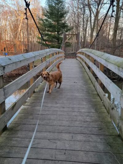 Big Creek Parkway - Parma, OH