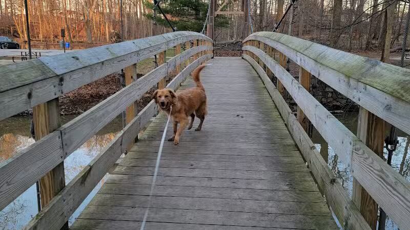 Big Creek Parkway - Parma, OH
