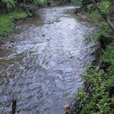 Big Creek Parkway - Parma, OH