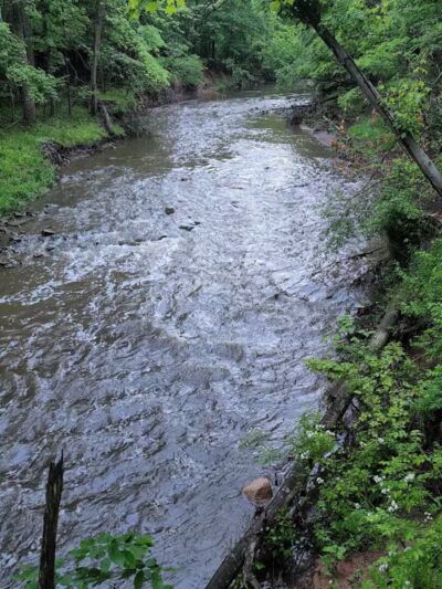 Big Creek Parkway - Parma, OH