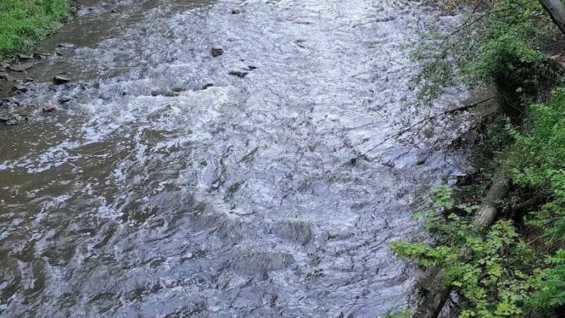 Big Creek Parkway - Parma, OH