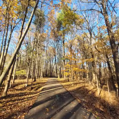 Big Creek Parkway - Parma, OH