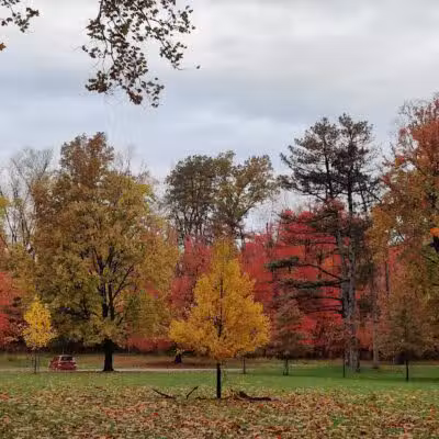 Big Creek Parkway - Parma, OH
