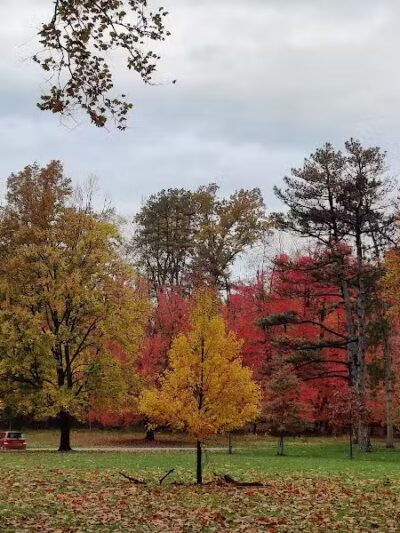 Big Creek Parkway - Parma, OH