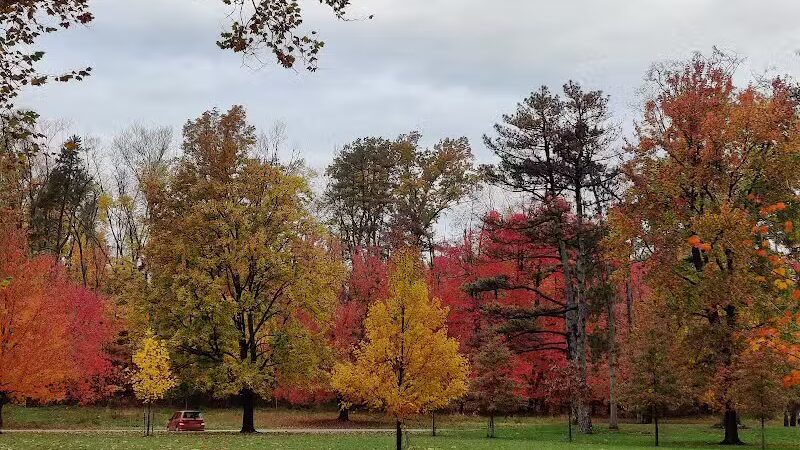Big Creek Parkway - Parma, OH
