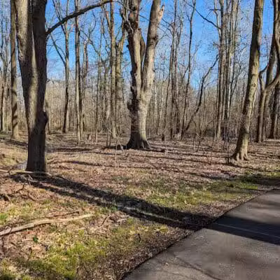 Big Creek Parkway - Parma, OH