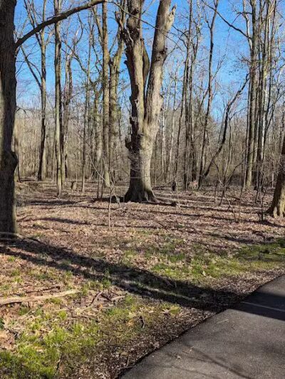 Big Creek Parkway - Parma, OH