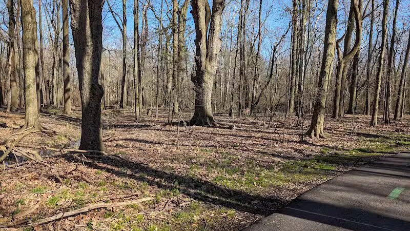 Big Creek Parkway - Parma, OH