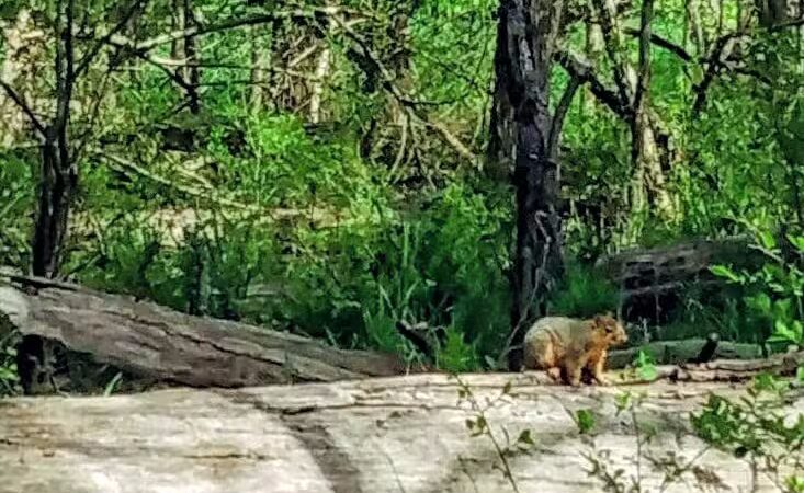 Big Creek Parkway - Parma, OH