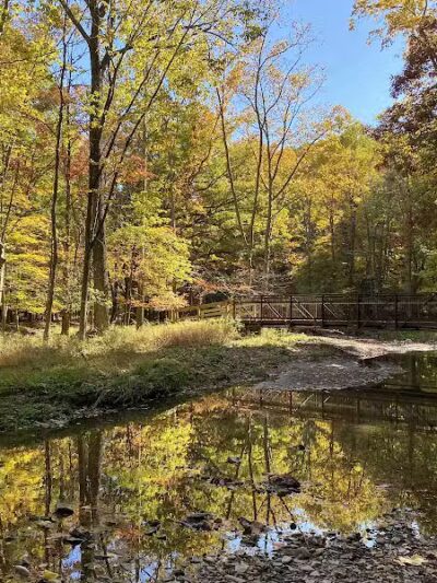 Bluebird Point - Parma, OH