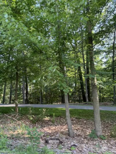 Bluebird Point - Parma, OH