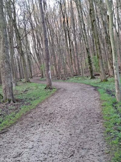 Bluebird Point - Parma, OH