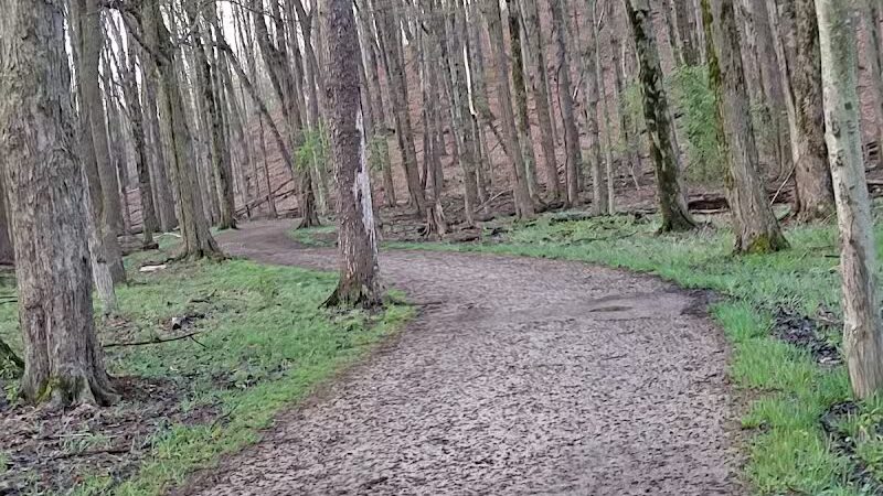 Bluebird Point - Parma, OH