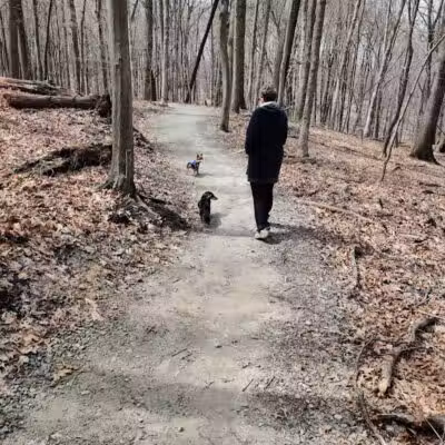 Bluebird Point - Parma, OH