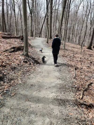 Bluebird Point - Parma, OH