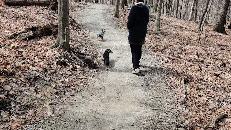 Bluebird Point - Parma, OH