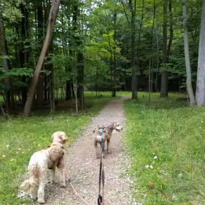Dentzler Rd. Trailhead - Parma, OH