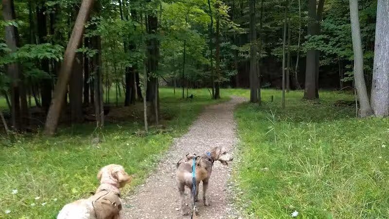 Dentzler Rd. Trailhead - Parma, OH