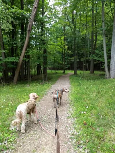 Dentzler Rd. Trailhead - Parma, OH
