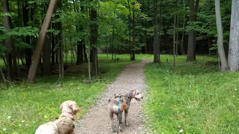 Dentzler Rd. Trailhead - Parma, OH