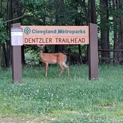 Dentzler Rd. Trailhead - Parma, OH
