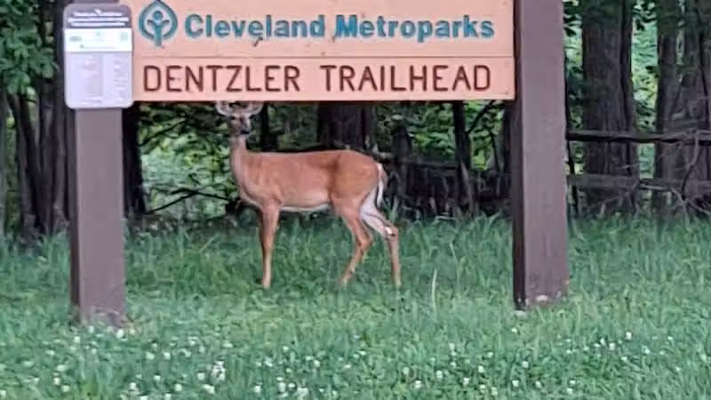 Dentzler Rd. Trailhead - Parma, OH
