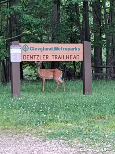 Dentzler Rd. Trailhead - Parma, OH