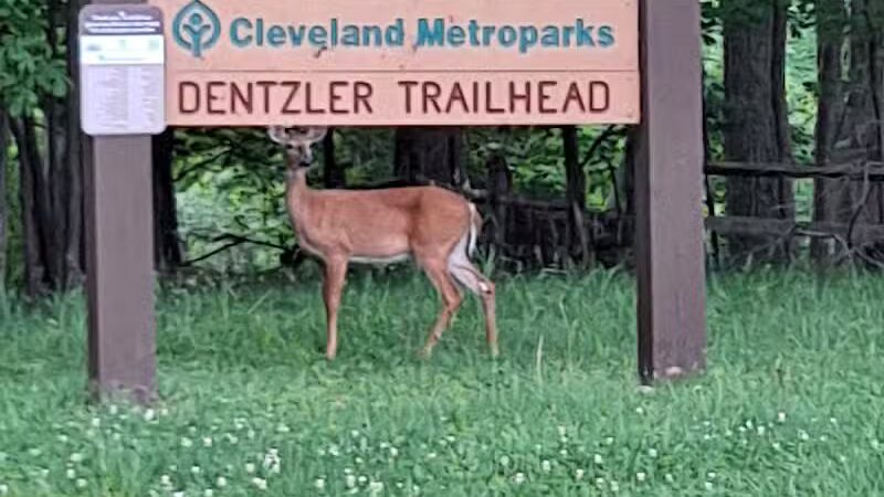 Dentzler Rd. Trailhead - Parma, OH