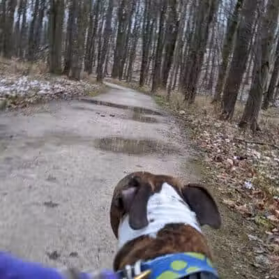 Dentzler Rd. Trailhead - Parma, OH