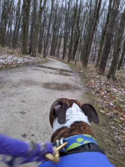 Dentzler Rd. Trailhead - Parma, OH