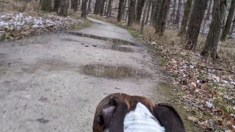 Dentzler Rd. Trailhead - Parma, OH