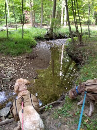 Dentzler Rd. Trailhead - Parma, OH