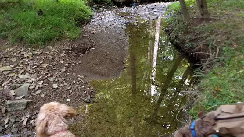 Dentzler Rd. Trailhead - Parma, OH