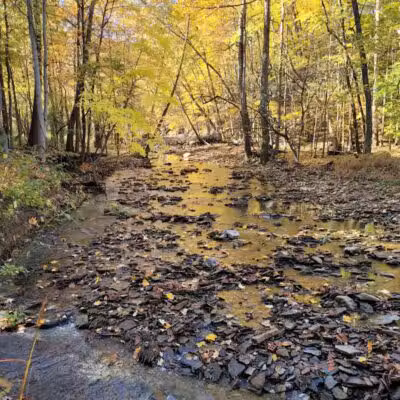 Dentzler Rd. Trailhead - Parma, OH