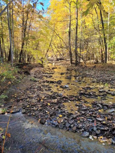 Dentzler Rd. Trailhead - Parma, OH