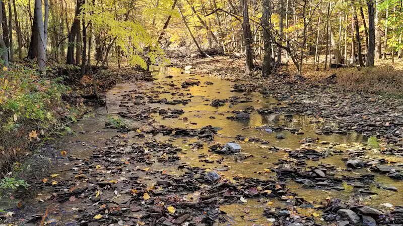 Dentzler Rd. Trailhead - Parma, OH